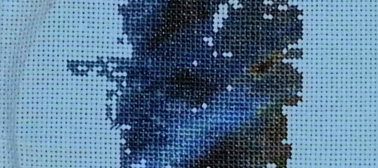 Etape 1 de la broderie Carène par Emilie PLACHEZ