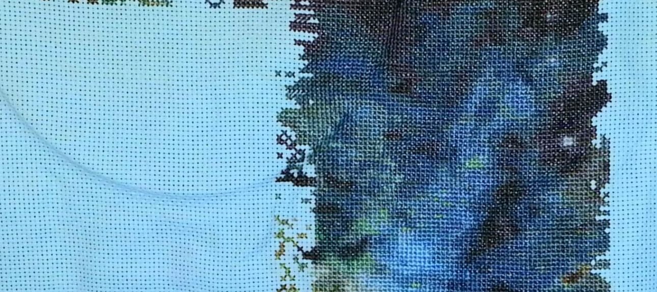 Etape 2 de la broderie Carène par Emilie PLACHEZ